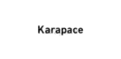 logo Karapace